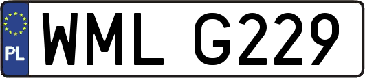 WMLG229