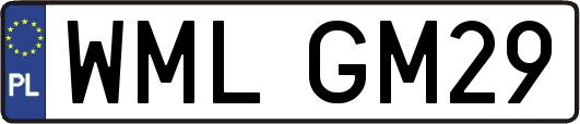 WMLGM29
