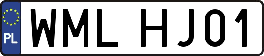 WMLHJ01