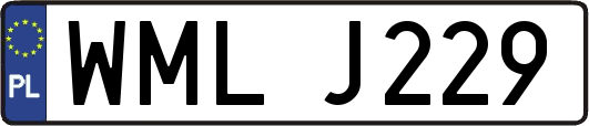WMLJ229