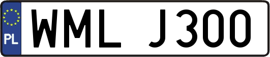 WMLJ300