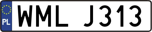 WMLJ313