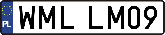 WMLLM09