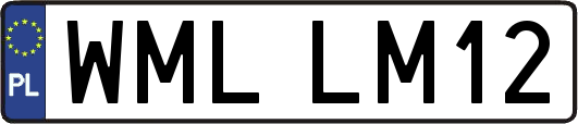 WMLLM12