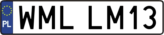WMLLM13