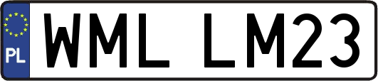 WMLLM23