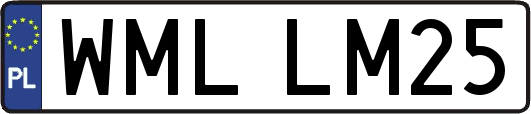 WMLLM25