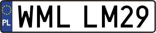 WMLLM29