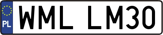 WMLLM30