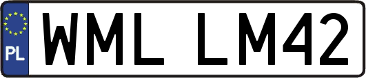 WMLLM42