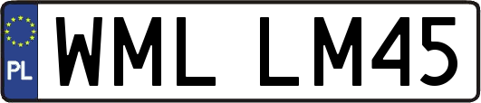 WMLLM45