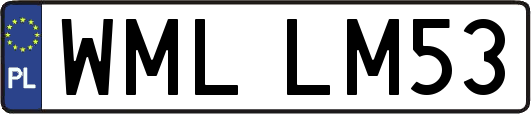 WMLLM53