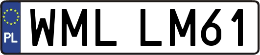 WMLLM61