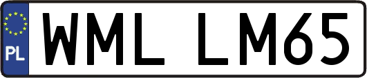 WMLLM65