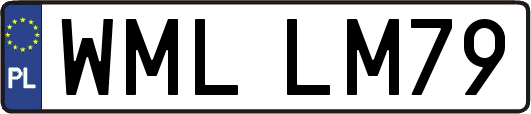 WMLLM79