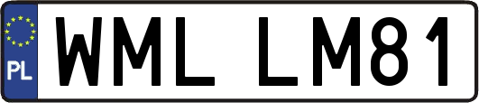 WMLLM81