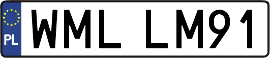WMLLM91