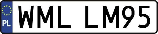 WMLLM95