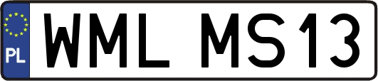 WMLMS13