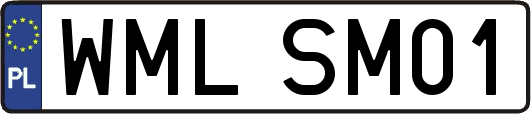 WMLSM01