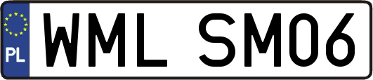 WMLSM06