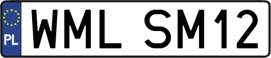 WMLSM12