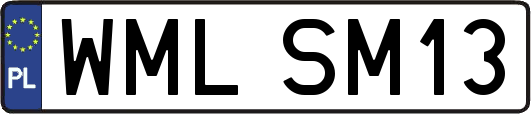 WMLSM13