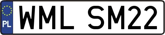 WMLSM22