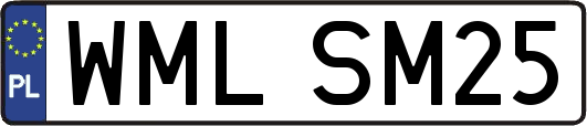 WMLSM25