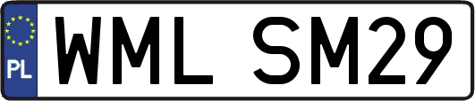 WMLSM29