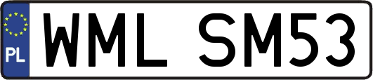 WMLSM53