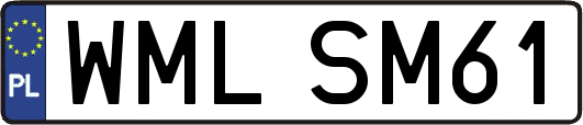 WMLSM61