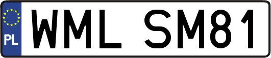 WMLSM81