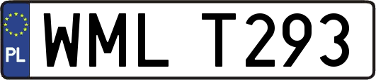 WMLT293