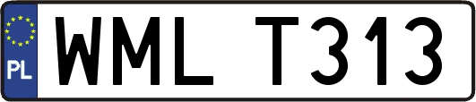 WMLT313