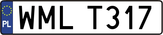 WMLT317