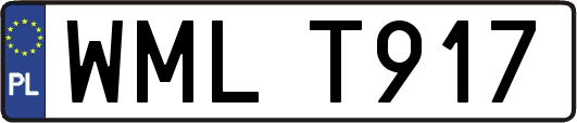 WMLT917