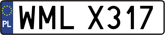 WMLX317
