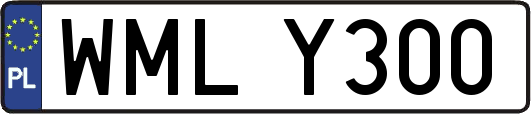 WMLY300