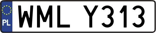 WMLY313