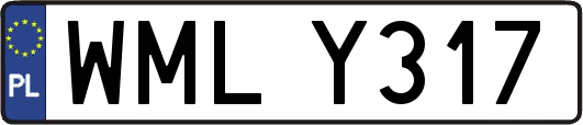 WMLY317