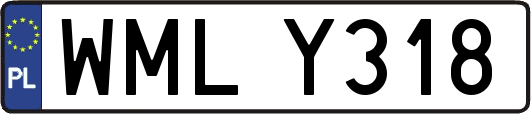 WMLY318