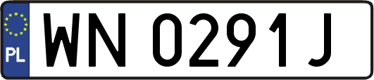 WN0291J