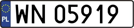 WN05919