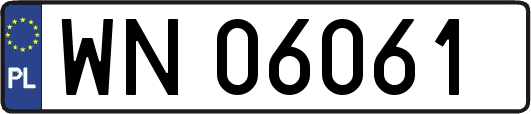 WN06061