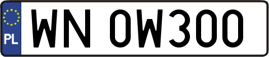 WN0W300