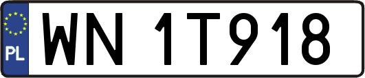 WN1T918