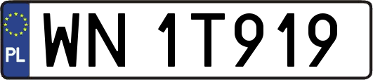 WN1T919