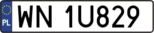WN1U829