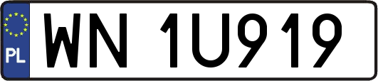 WN1U919